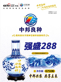 强盛288