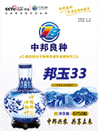 邦玉33