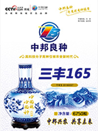 三丰165